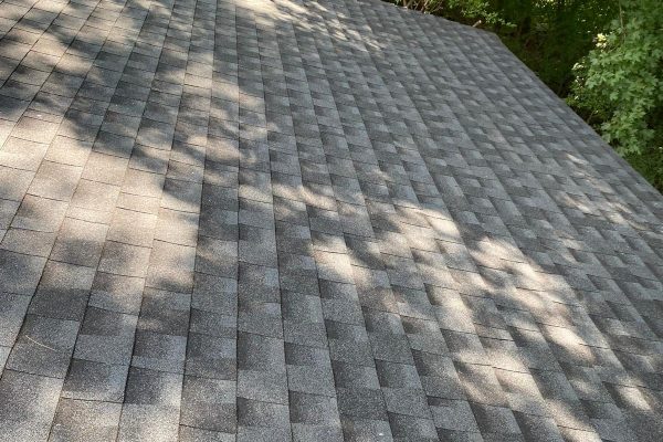 WhatsApp Image 2025-12-29 at 6.48.00 PM